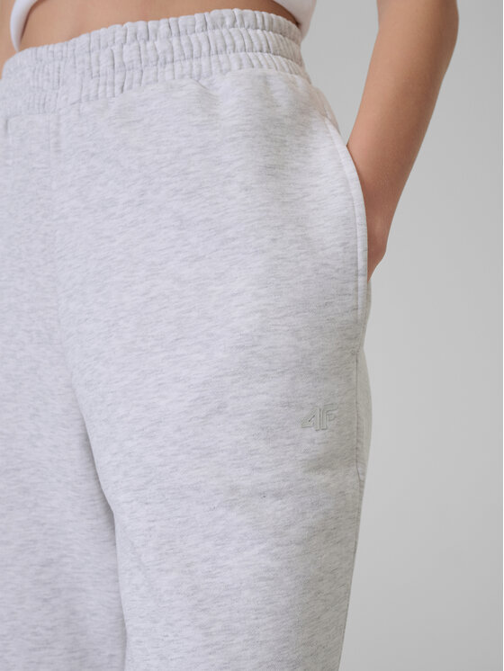 4F 4F Spodnie dresowe BASIC+ Szary jasny Regular Fit