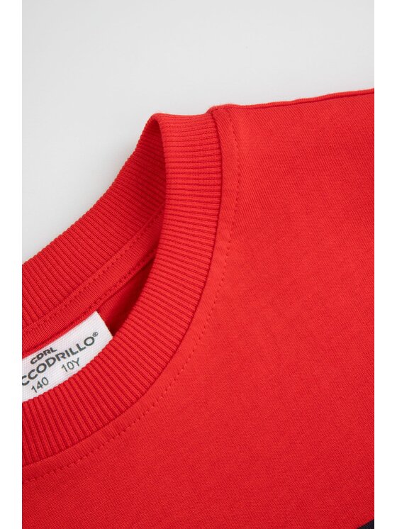 Coccodrillo Coccodrillo T-Shirt WC6143228VBA-009 Czerwony Regular Fit