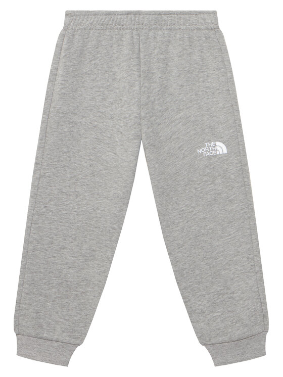 The North Face The North Face Trening Evolution Simple Dome NF0A8H5C Gri Regular Fit