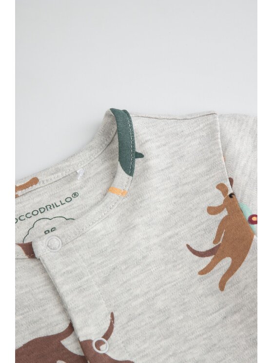 Coccodrillo Coccodrillo Dupačky WC6104101HBN-019 Šedá Regular Fit