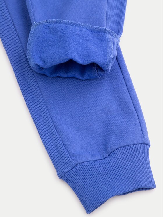 Coccodrillo Coccodrillo Teplákové kalhoty ZC4120203FBK Modrá Regular Fit