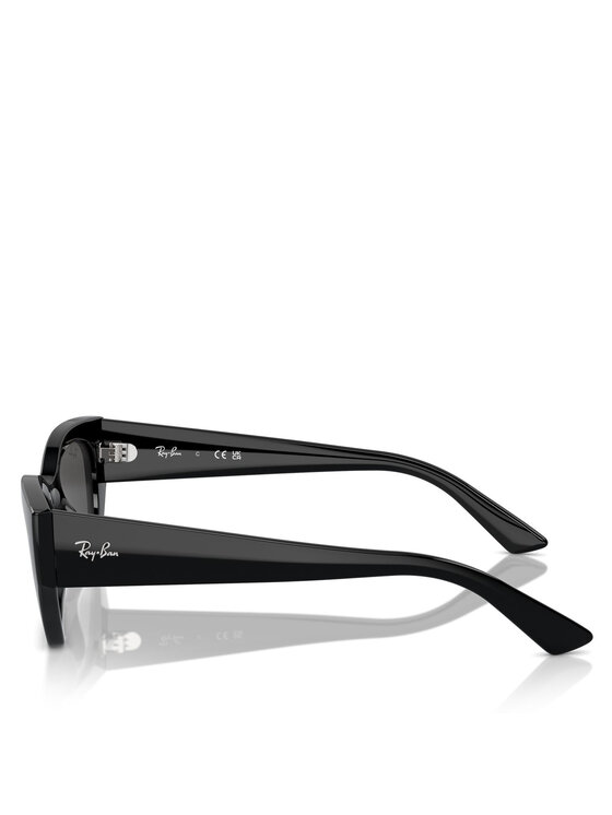 Ray-Ban Ray-Ban Γυαλιά ηλίου 0RB4430 667787 Μαύρο