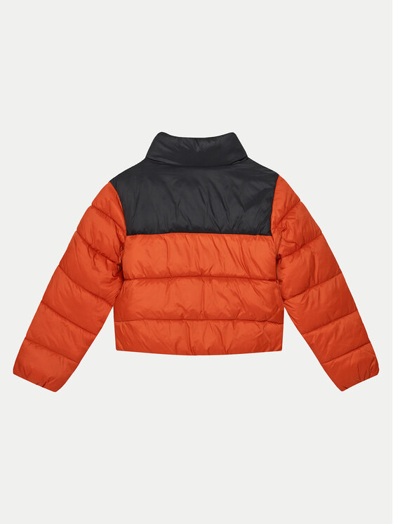 4F 4F Kurtka zimowa 4FJWAW24TDJAM461 Czerwony Regular Fit