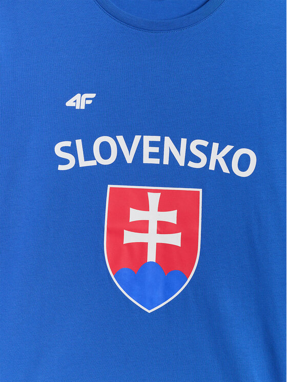 4F 4F T-Shirt TEAMWEAR Niebieski Regular Fit