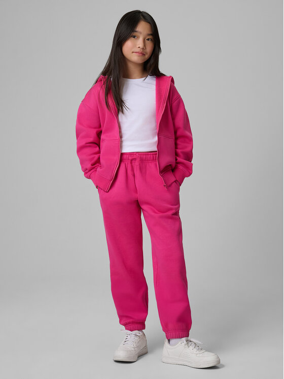 4F 4F Spodnie dresowe BASIC+ Różowy Regular Fit