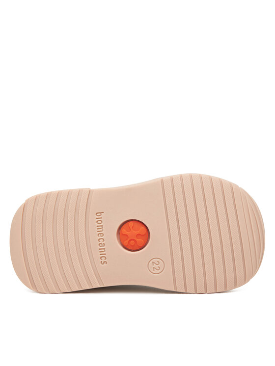 Biomecanics Biomecanics Tossud 251107 Roosa
