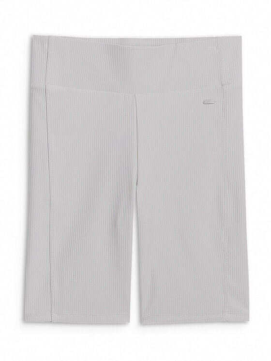 4F 4F Szorty sportowe MIDSHOP TEXTILE Szary Slim Fit