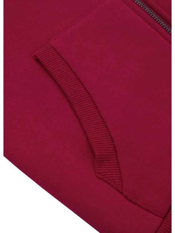 PITBULL PITBULL Bluza Hilltop Junior Bordowy Regular Fit