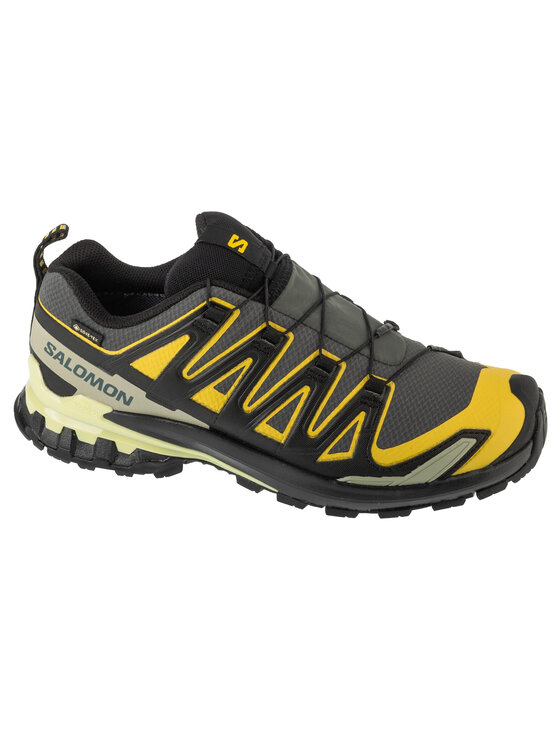 Salomon Salomon Buty do biegania XA Pro 3D v9 GTX Szary