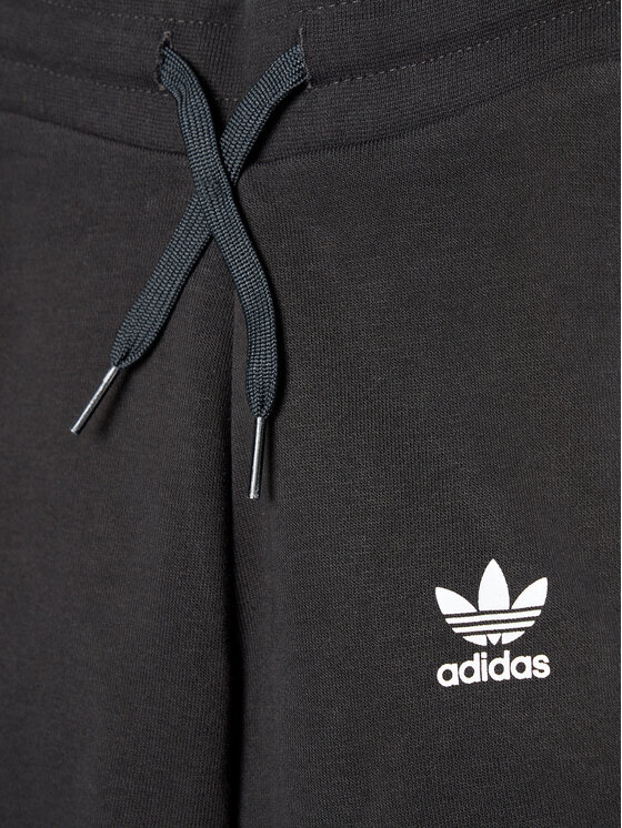 adidas adidas Trening adicolor H25218 Negru Regular Fit