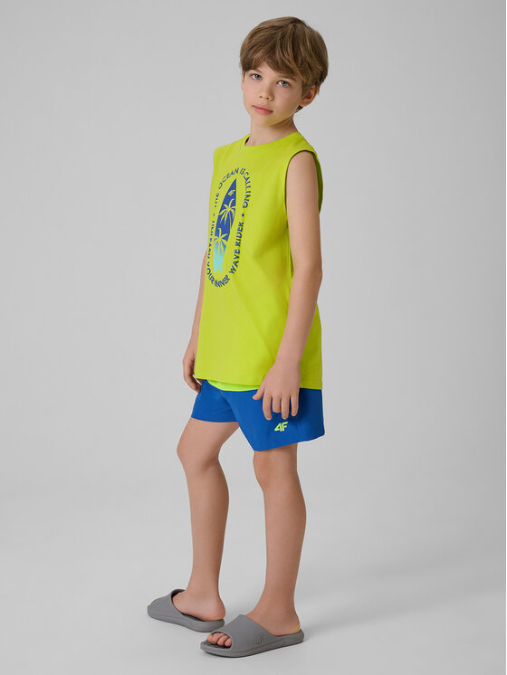 4F 4F Szorty sportowe BEACHSIDE CHILL Zielony Regular Fit