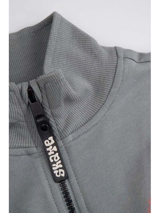 Coccodrillo Coccodrillo Mikina ZC5132201SBK-019 Šedá Regular Fit