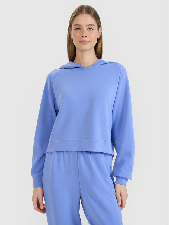4F 4F Bluza COMMON GROUND Niebieski Regular Fit