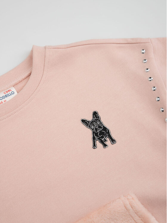 Coccodrillo Coccodrillo Sweatshirt ZC3132101GGK Rosa Regular Fit