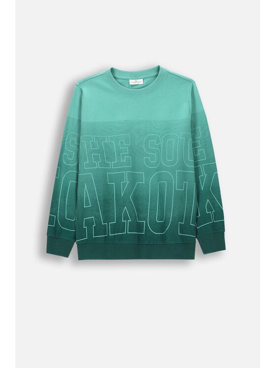 Coccodrillo Coccodrillo T-Shirt ZC4143103ABJ-022 Kolorowy Regular Fit
