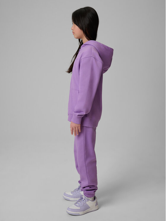 4F 4F Spodnie dresowe BASIC+ Fioletowy Regular Fit