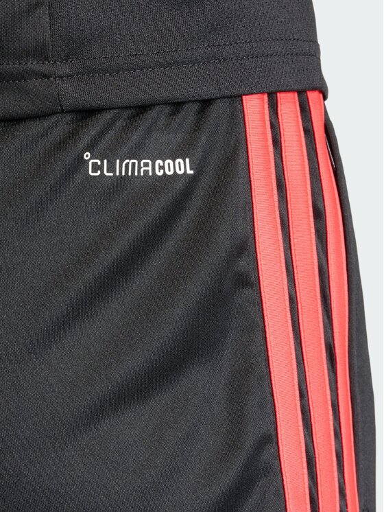 adidas adidas Szorty sportowe 159617 Czarny Regular Fit