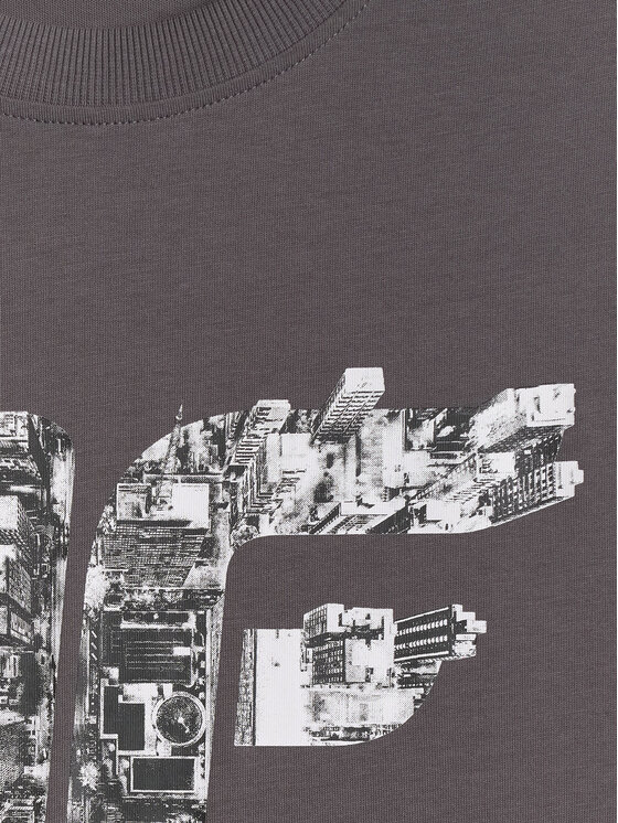 4F 4F T-Shirt CITY Szary Regular Fit