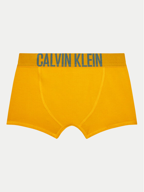 Calvin Klein Underwear Calvin Klein Underwear Σετ μποξεράκια 2 τμχ. B70B700488 Έγχρωμο