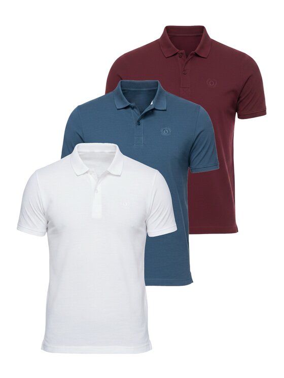 Ombre Ombre Polo OM-POBS-0171 Kolorowy Regular Fit