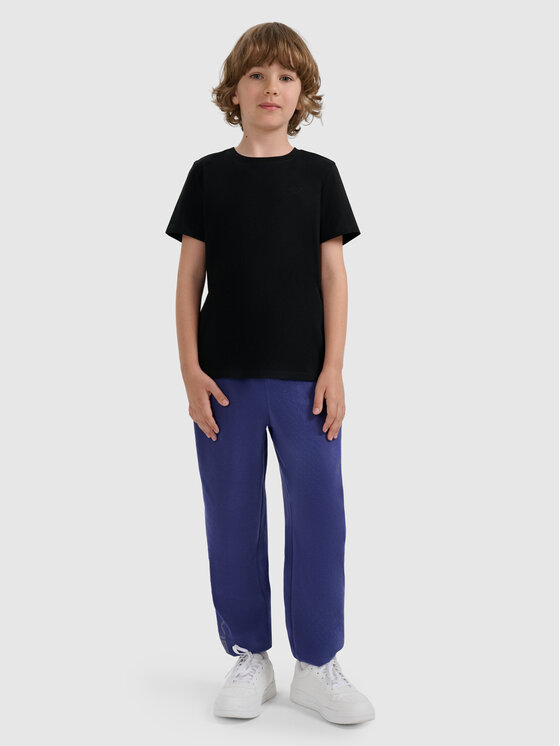 4F 4F T-Shirt BASIC+ Czarny Regular Fit