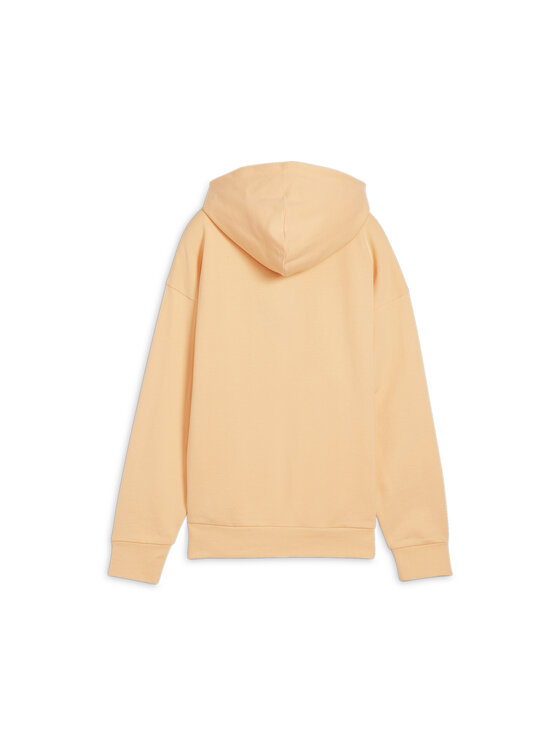 Puma Puma Bluza 675988 Pomarańczowy Regular Fit