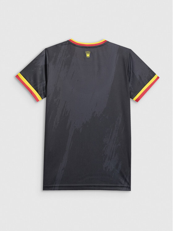4F 4F Koszulka techniczna TEAMWEAR Kolorowy Regular Fit