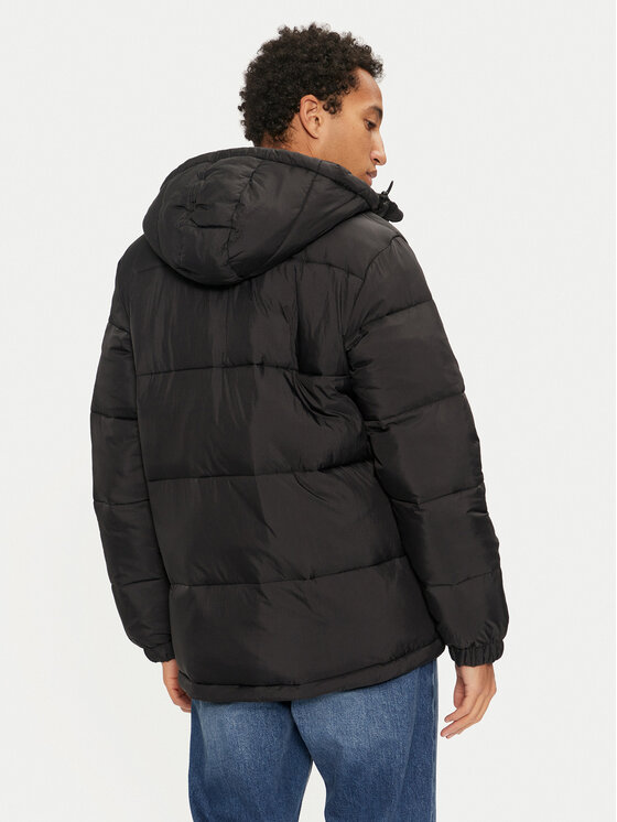 Dickies Dickies Зимно яке Waldenburg DK0A4YEY Черен Regular Fit
