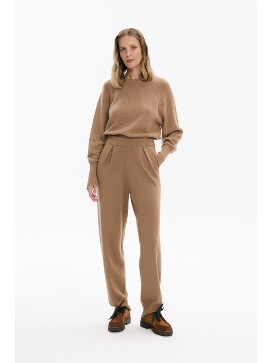 Deni Cler Milano Deni Cler Milano Spodnie dresowe T-DC-5275-F5-90-18-1 Brązowy Regular Fit