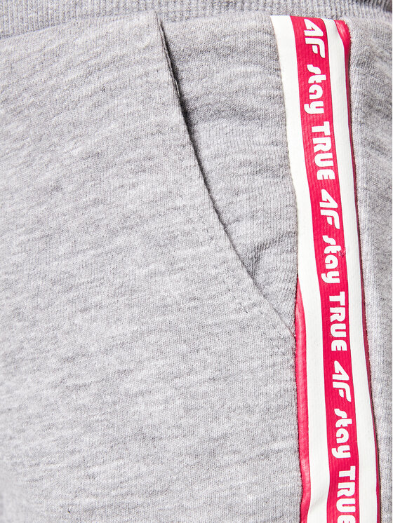 4F 4F Szorty sportowe HJL21-JSKDD002A Szary Regular Fit
