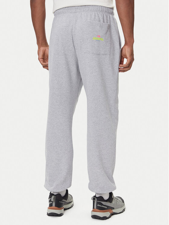 The North Face The North Face Pantaloni trening Expedition Celebration NF0A8E3E Gri Relaxed Fit