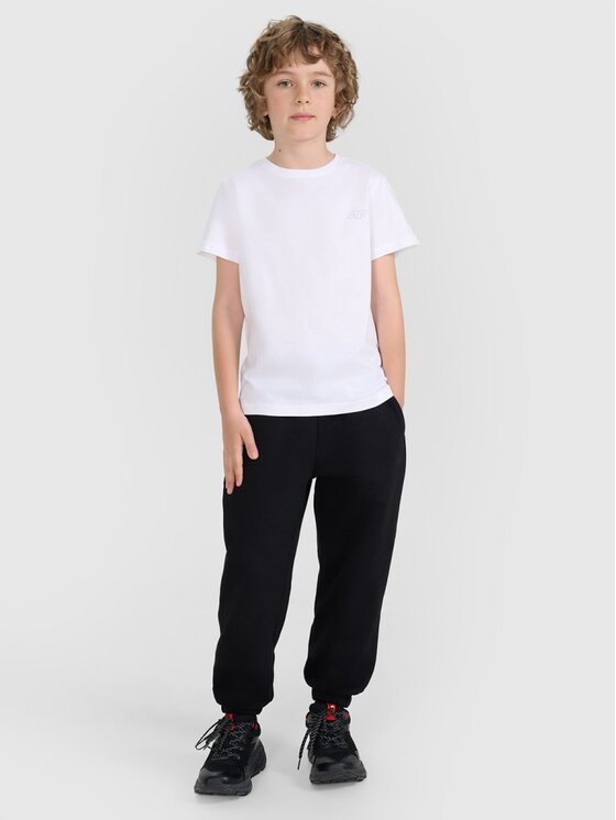 4F 4F T-Shirt 4FJRAW25TTSHU3157-91S Kolorowy Regular Fit