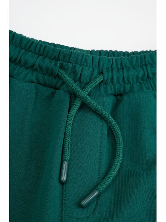 Coccodrillo Coccodrillo Spodnie dresowe ZC4120103ABJ-011 Zielony Slim Fit