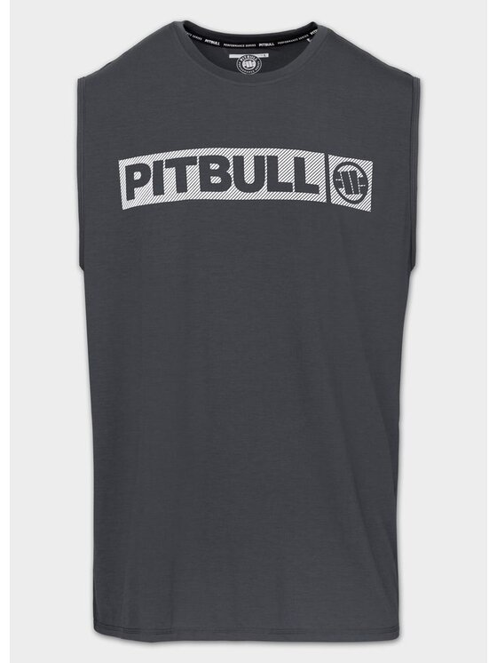 PITBULL PITBULL Koszulka techniczna Casual Sport HILLTOP Szary Regular Fit