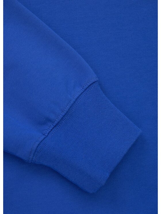 PITBULL PITBULL Bluza SMALL LOGO NUGGET Niebieski Regular Fit