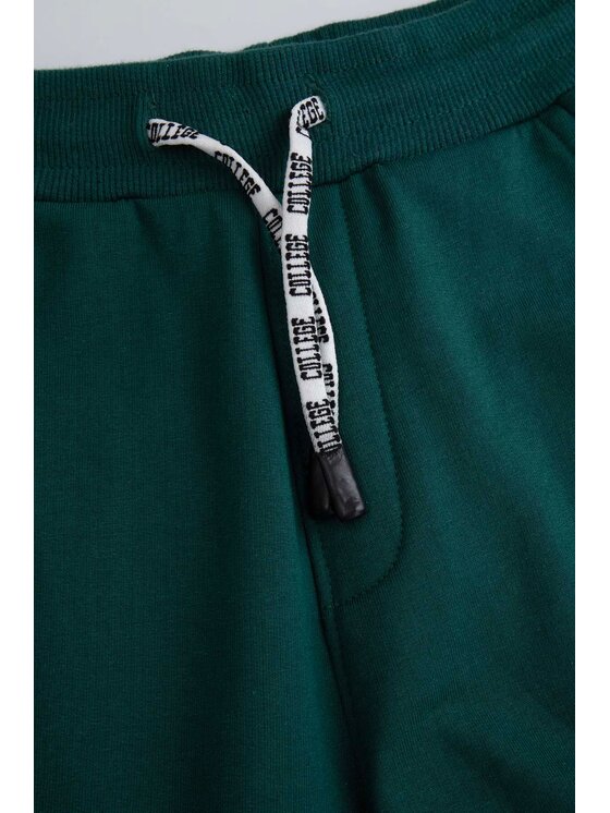 Coccodrillo Coccodrillo Spodnie dresowe ZC5120202ABJ-011 Zielony Regular Fit