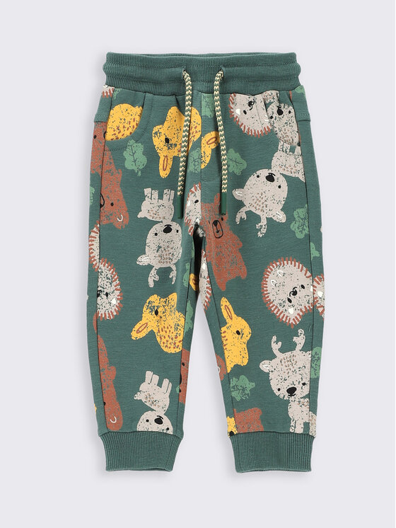 Coccodrillo Pantaloni trening ZC2120103FON Verde Regular Fit