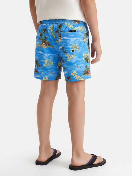 Quiksilver Quiksilver Шорти для плавання Everyday EQBJV03501 Голубий Regular Fit