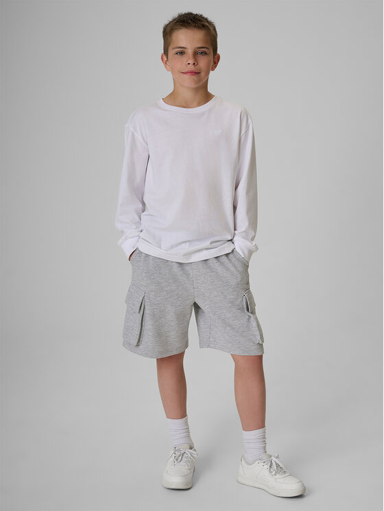 4F 4F Szorty sportowe COMMUNITY SPORTS Szary Regular Fit
