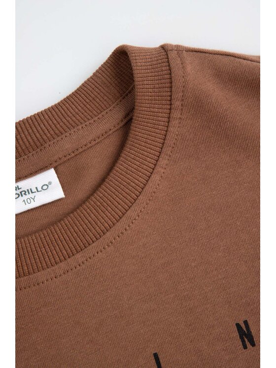 Coccodrillo Coccodrillo T-Shirt ZC5143101CBJ-018 Hnědá Regular Fit