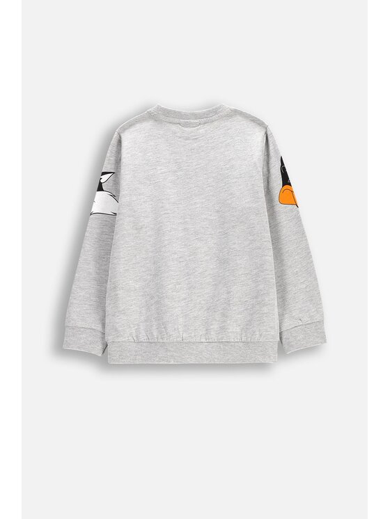 Coccodrillo Coccodrillo T-Shirt WC5143101LBW-019 Szary Regular Fit