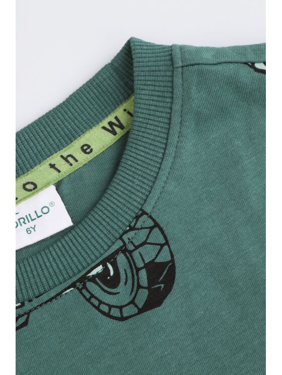 Coccodrillo Coccodrillo T-Shirt WC5143204WBK-011 Zielony Regular Fit