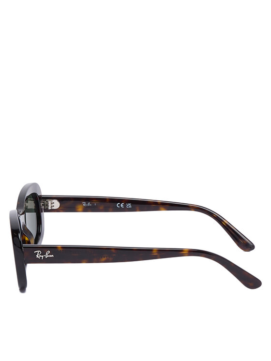 Ray-Ban Ray-Ban Occhiali da sole 0RB2221 Marrone
