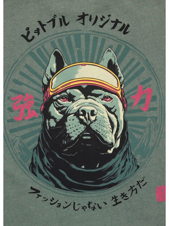 PITBULL PITBULL T-Shirt MT. FUJI Zielony Regular Fit