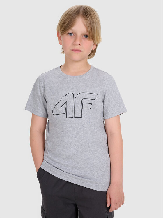 4F 4F T-Shirt BASIC+ Szary Regular Fit