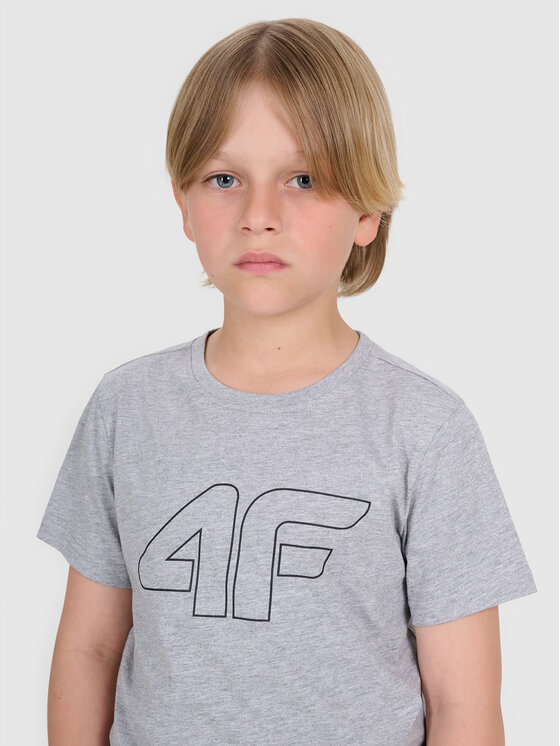 4F 4F T-Shirt BASIC+ Szary Regular Fit