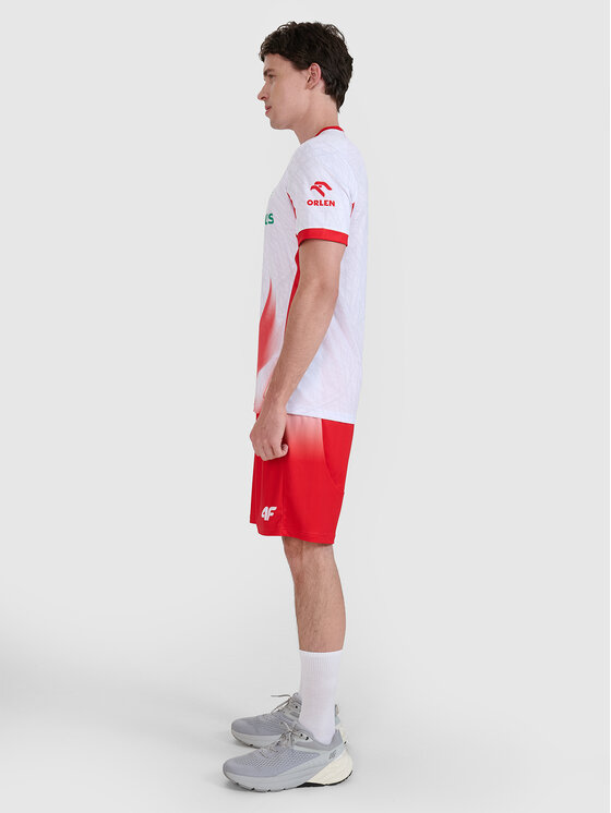 4F 4F Szorty sportowe TEAMWEAR Kolorowy Regular Fit