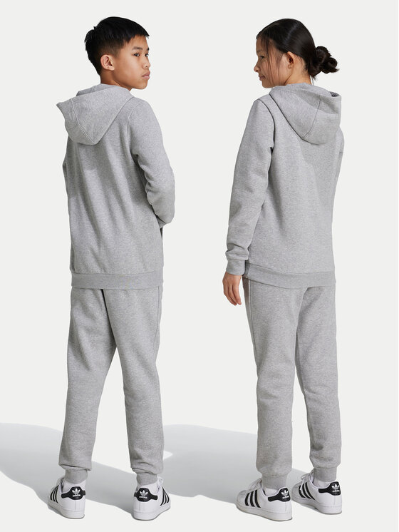 adidas adidas Donji dio trenerke IX5297 Siva Regular Fit
