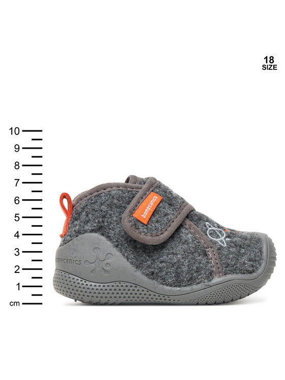 Biomecanics Biomecanics Sussid 251144 Hall