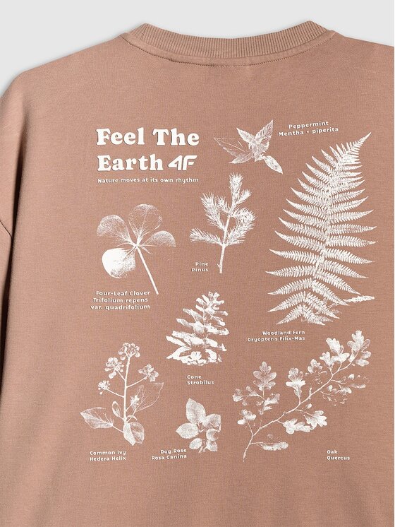 4F 4F T-Shirt 4FRSS26TTSHF3704-83S Καφέ Regular Fit